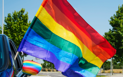 PRIDE Month: celebration, education, connection and kink